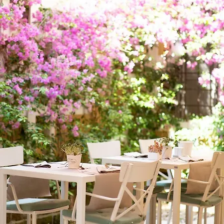 Residenza Di Via Fontana Bed & Breakfast Lucca