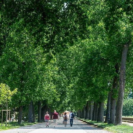 Residenza Di Via Fontana 3* Lucques